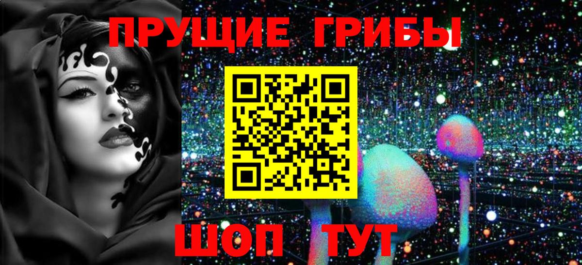 Галлюциногенные грибы Psilocybe  Вход с VPN  Улан-Удэ 