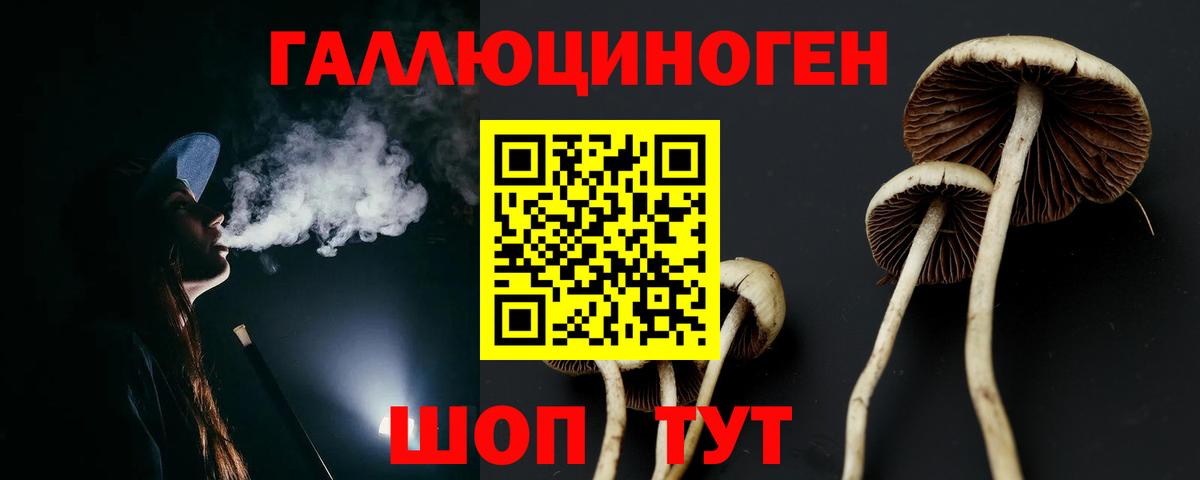 Галлюциногенные грибы Psilocybe Улан-Удэ